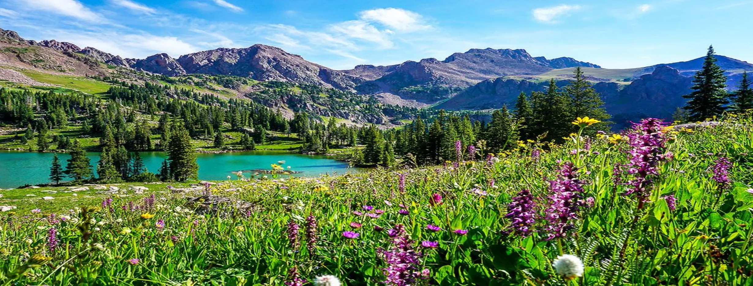 Image for Diverse Landscape